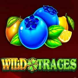 Play Wild Traces slot by Amusnet Interactive on piper-spin.eu